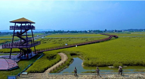 2018邛崍樂漁節暨漁香米豐收節 一場農漁文化的盛宴邀您共赴